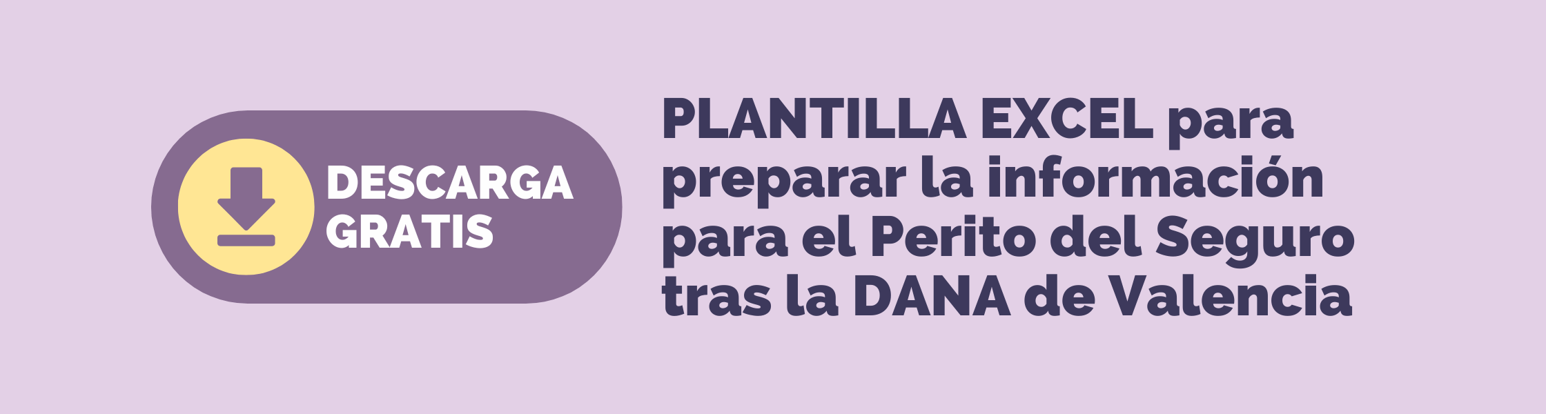 PLANTILLA EXCEL para preparar la información para el perito del Consorcio de compensación de seguros tras la DANA de Valencia